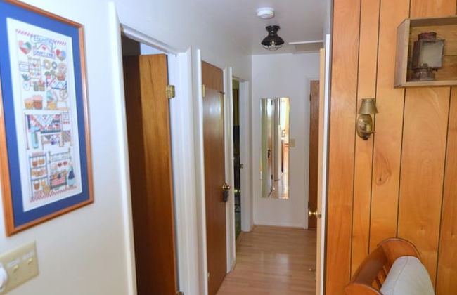 Chesnutt Cabin on the Cacapon River - Foto 30