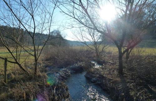 Strotzbusch Forest Hideaway - Foto 51