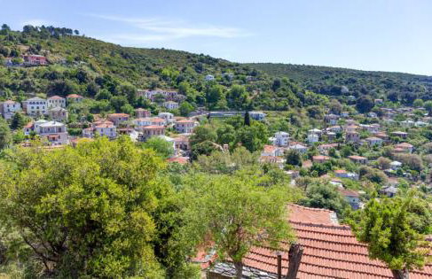 Panorama Studio Afetes - Photo 19