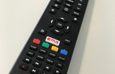 Trzy Małe Drzewka - Foto 46