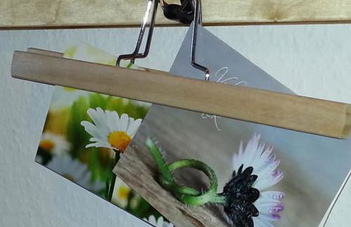 Ferienhaus Emstal in Oberlangen - Foto 27