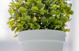 Sevenstay Apartments Bold Street - Foto 13