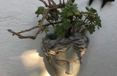 Monte do Rei Santo - Foto 47