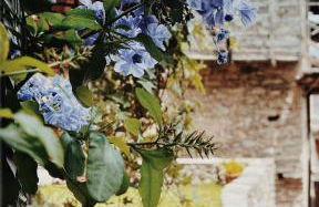 Casa nel borgo - Photo 44