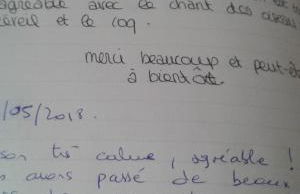 Maison Coeur Nature pres du zoo beauval - Foto 63