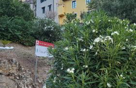 Charming 1bed in historic centre - Foto 22