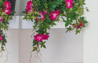 APPARTAMENTO STELLA - Foto 21