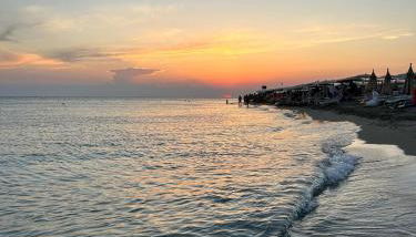 Zolla's House - Foto 2