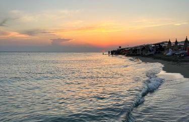 Zolla's House - Foto 2