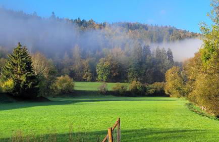 Ferienwohnung am Schwarzwaldrand - Foto 17