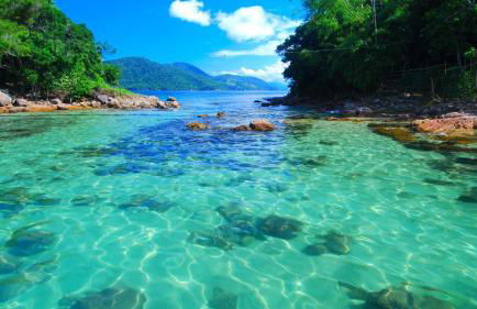 Encanto do Beija-flor - Foto 27