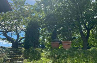 Ferienwohnung im Bodenseeraum - Foto 19