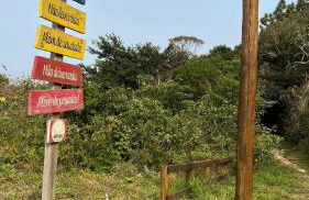 Apartamento aconchegante perto do mar - Photo 15