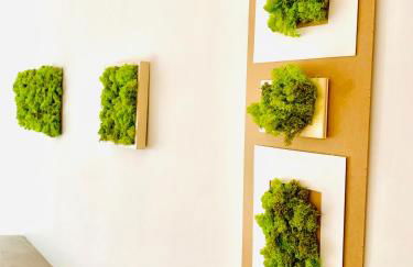 PLANT HOUSE Roma Eur - Foto 9