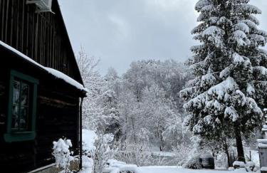 Drewniana chata nad stawem - Foto 35