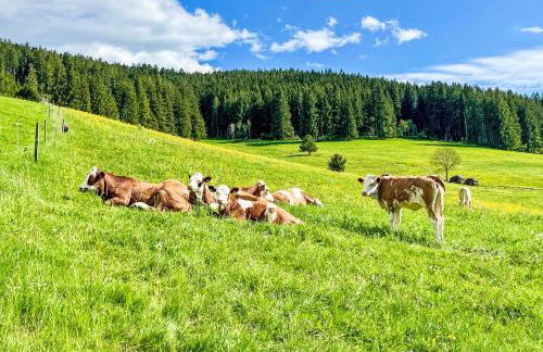 Apartment Fewo Knöpfle by Interhome - Foto 51