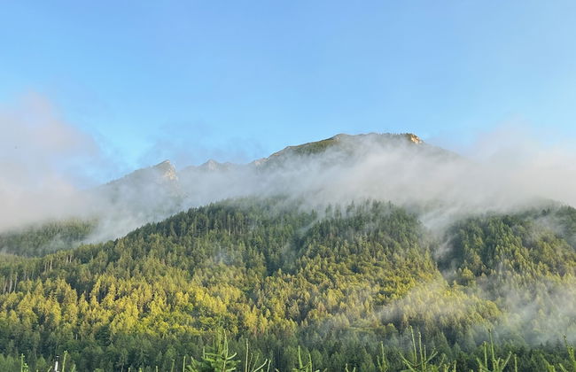 Haus Im Hochtal - Foto 35