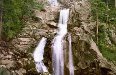 Appartment am Waldmattensee - Foto 4