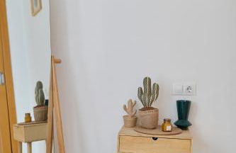 Penthouse Cactus Old Center - Photo 25