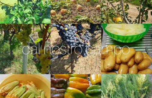 Torre Casciani - Foto 144