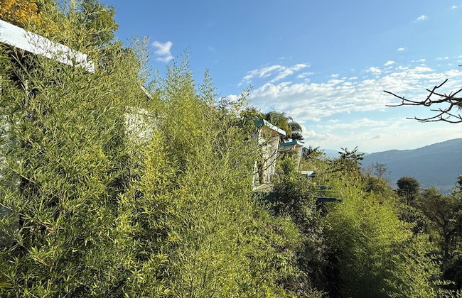 Sunset Palm Lodge - Foto 26