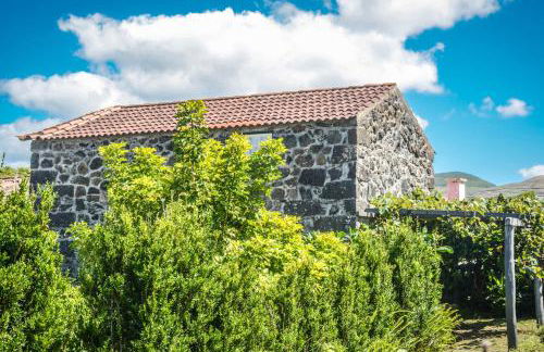 Quinta dos Frutos - Foto 61