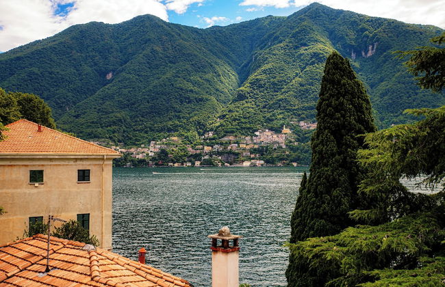 Lemon Tree - Photo 12