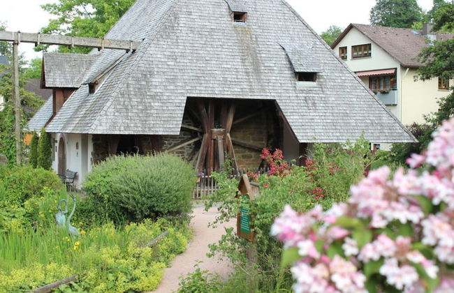 Holiday Apartment Holzwieb - Photo 15