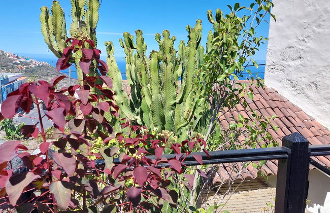 Apartamentos Monasterio de San Antonio - adults only - Photo 58