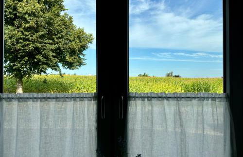 Landleeven No11 - Foto 20