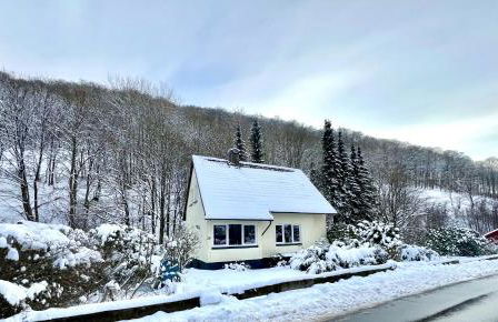 Platell Ferienhäuser Harz Lonau - Foto 33