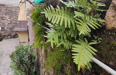 Monolocale con veranda e giardino a Rio Marina - Foto 25