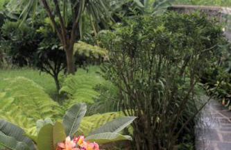 Apartamento tranquilo e acolhedor - Photo 5