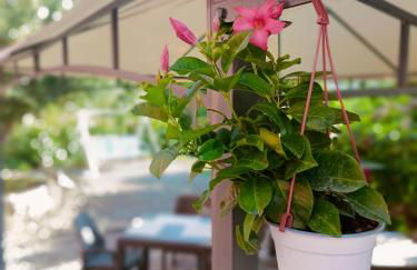 Agriturismo - "La Funicolare" - Photo 19