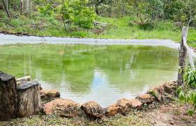 Chalé Terra Dourada, Oásis no Cerrado, Piscina Natural, Wi-Fi - Foto 35