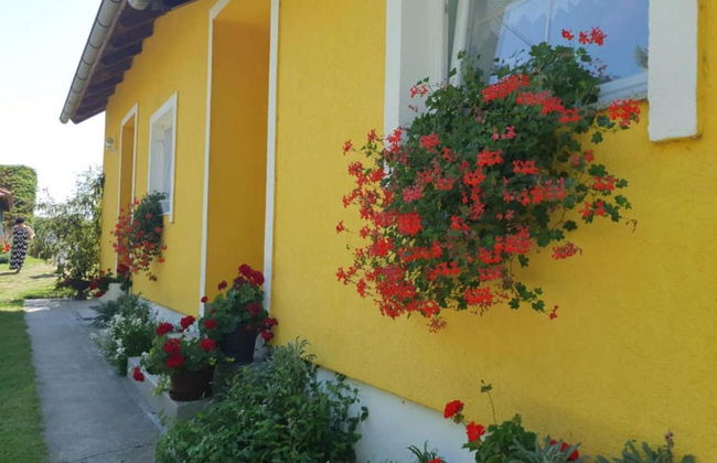 Apartment Čeliković - Foto 13