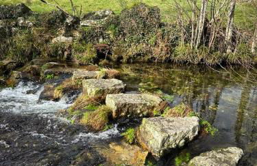 Chalé Mezio - Photo 25