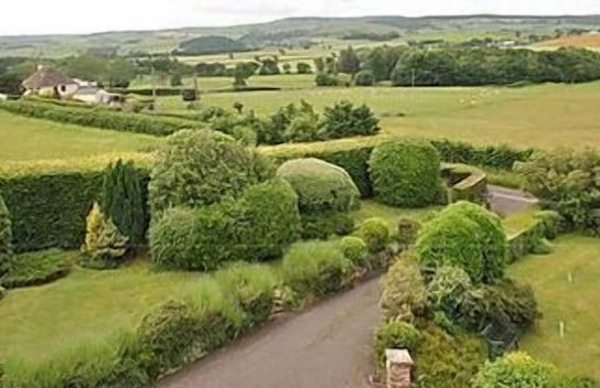 Huntingball Lodge - Photo 19