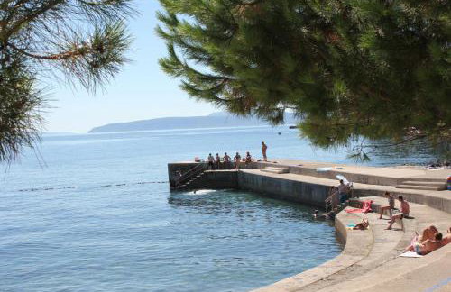 Apartman Halugica - Photo 18