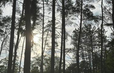 Le refuge de Chambord - Photo 22