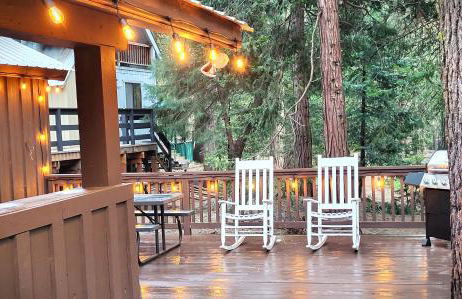 Sequoia Splendor, inside Kings Canyon NP by Visitors Center - Foto 62