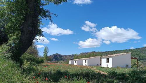 Casas Natura Suites - Finca Rural - Foto 4