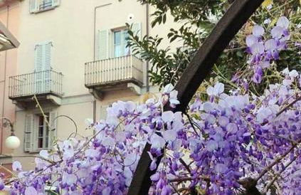 Casa Vacanze Stella - Foto 1