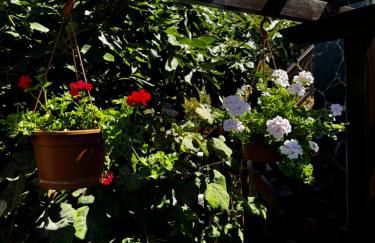 Casa colon - Foto 52