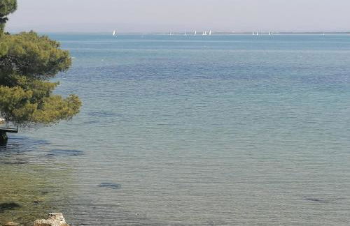 Panoramica Flat - Foto 38