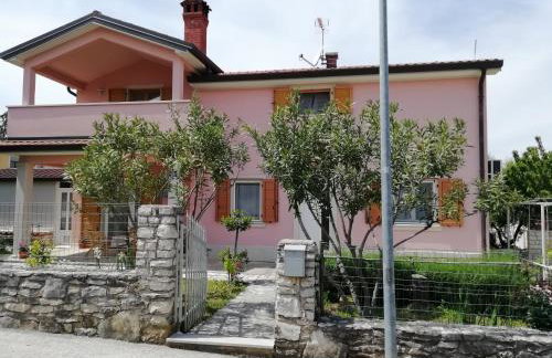 Apartmani Vesna - Foto 13