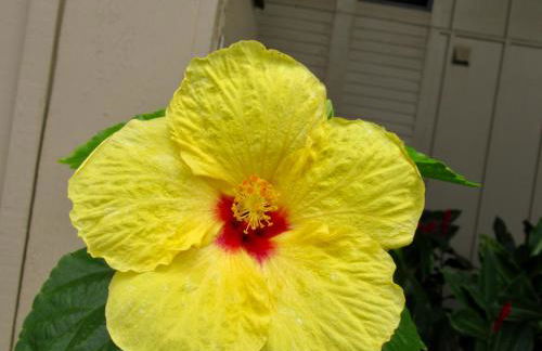 This is Paradise! - Foto 11