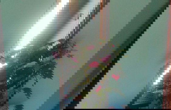 Casa Rural Aristondo - Photo 7