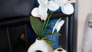 Cosy studio, proche HEC et gare - Foto 3