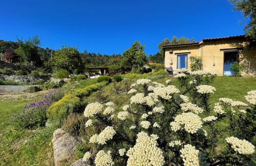 Casa de Vilar de Rei, férias em família com piscina - Foto 72